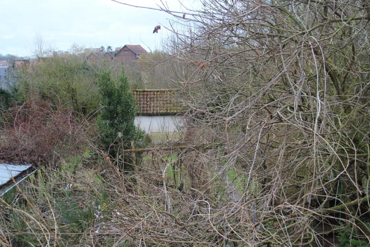 Maison D'Artiste Acces Jardin Maubeuge Dış mekan fotoğraf